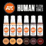 AK Interactive MODEL PAINT 3G Human Flesh Tones Set Acylics AK-11603