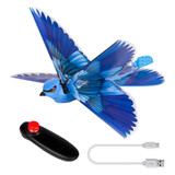 rc bird bluejay